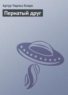 Пернатый друг
