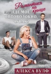 Романтика на крыше, или Где мое оптоволокно, чувак? (СИ)