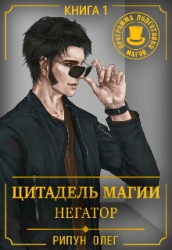 Цитадель Магии: Негатор (СИ)