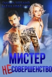 Мистер Несовершенство (СИ)