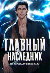 Главный наследник НЕ скрывает свою силу. Том 1 и Том 2 (СИ)